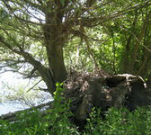 Kep2